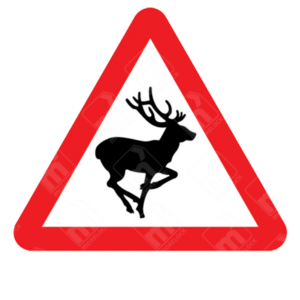 Wild Animals Likely to Be in Road Ahead Warning Sign – Diagram 551 showing black deer silhouette inside red triangle, warning of wildlife hazards on UK roads